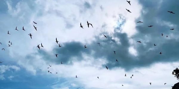 宏工團(tuán)建 | 團(tuán)結(jié)×力量 無(wú)一可落單